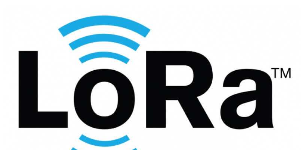 無(wú)線LoRa溫濕度傳感器